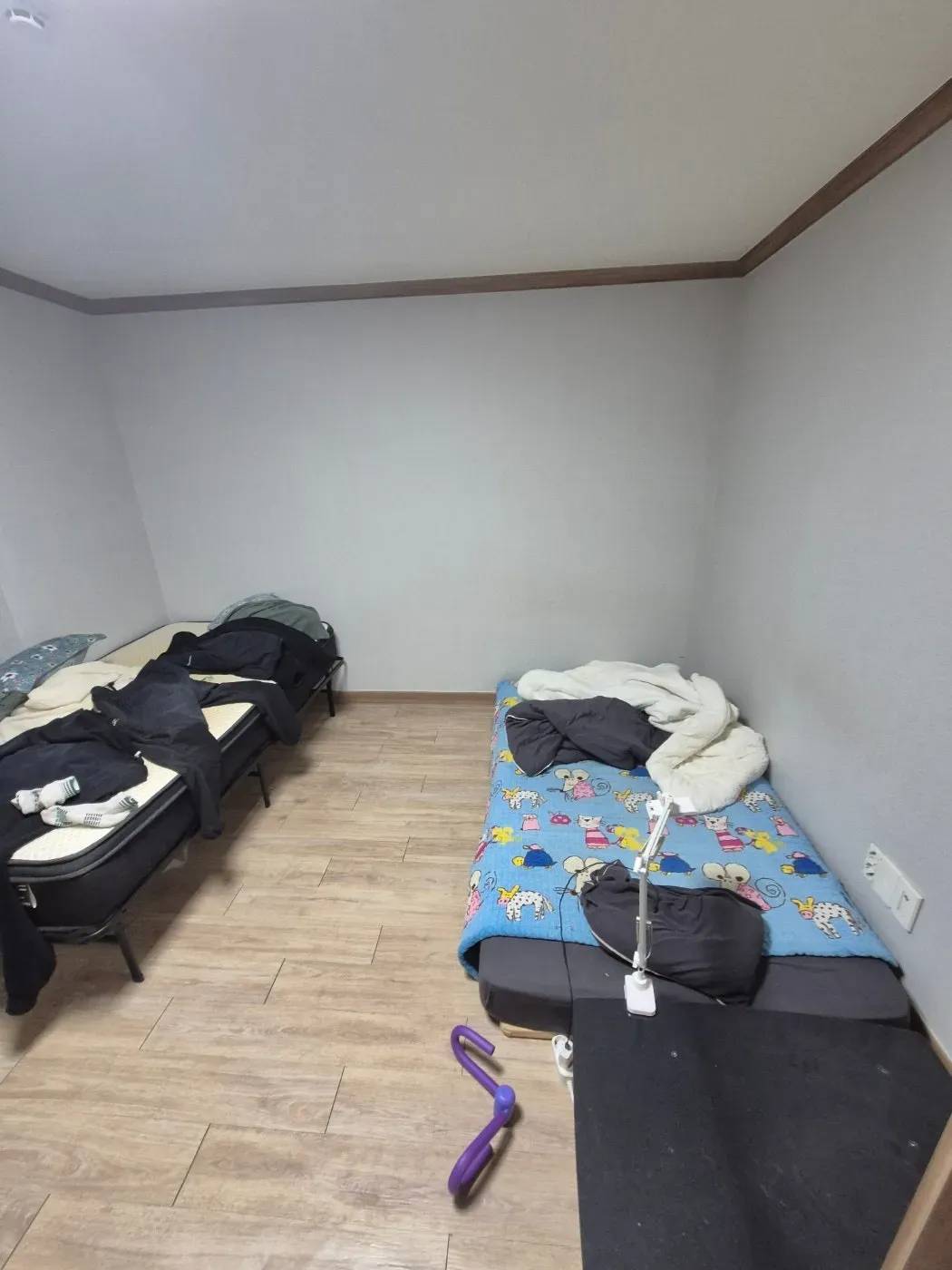Dong-gu, Daegu ONEROOM $347