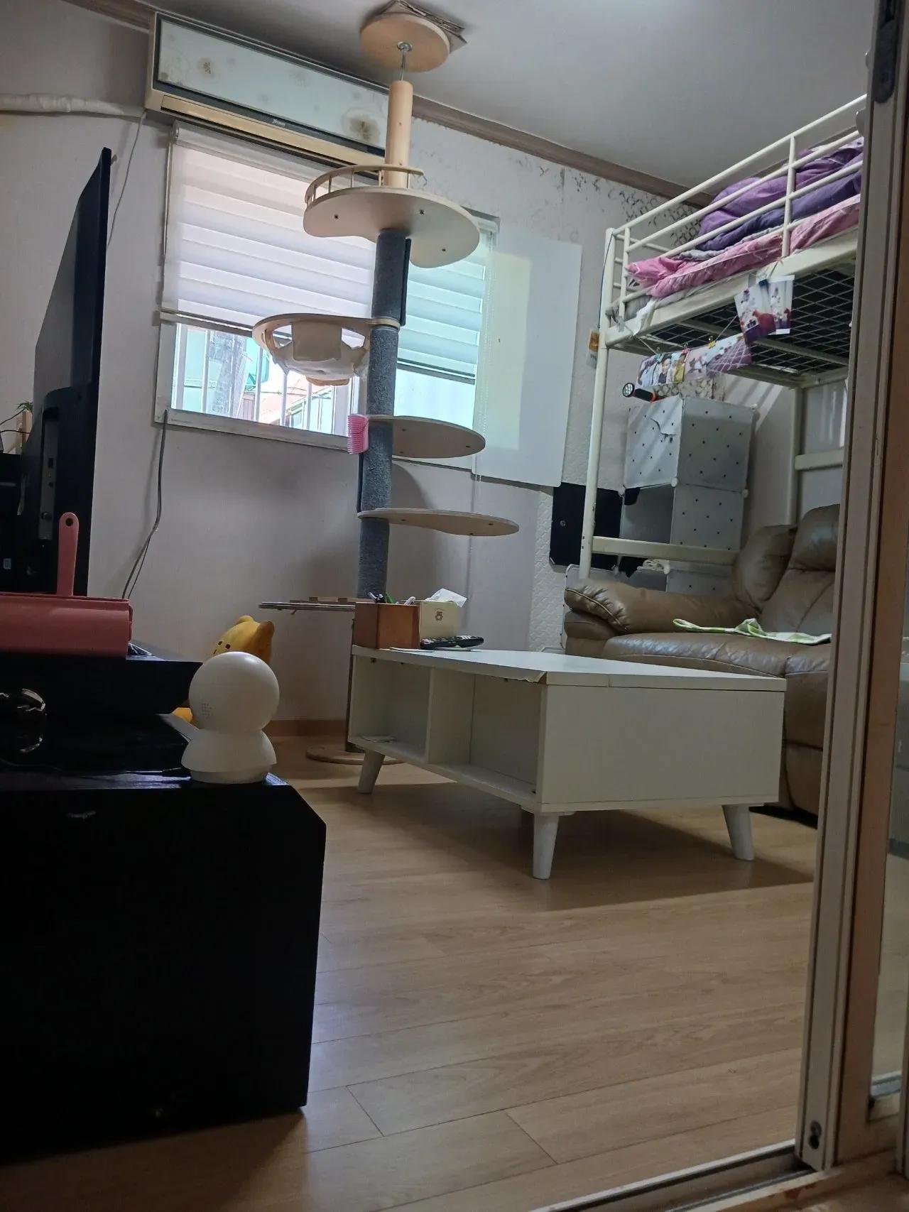 Room image 5