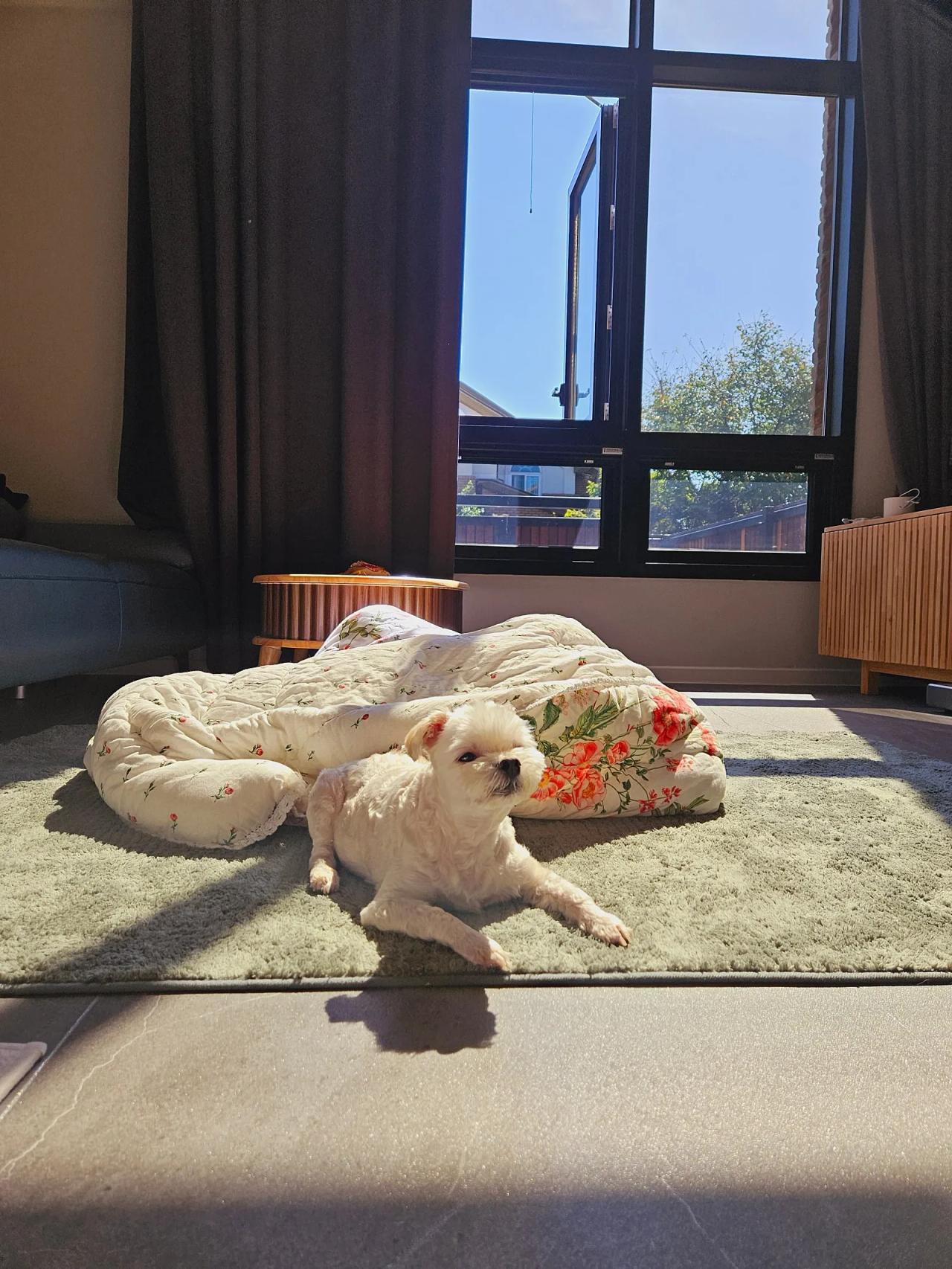 Room image 11