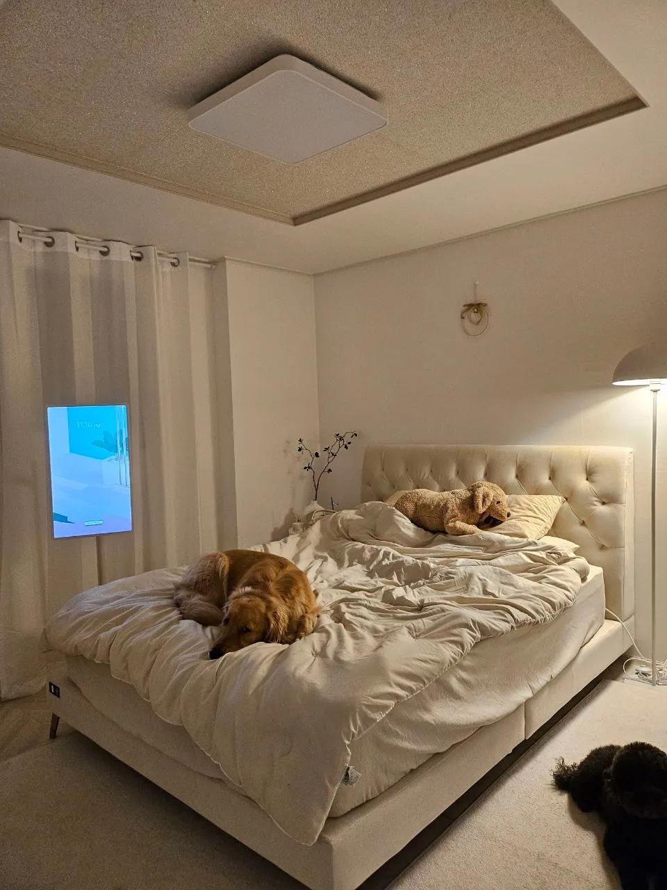 Room image 15