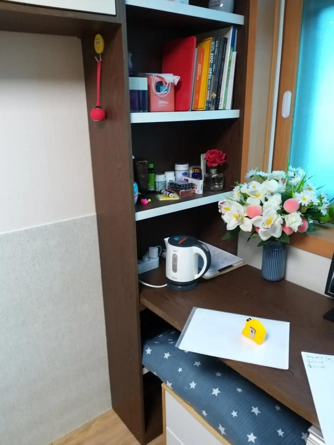 Seoul ONEROOM $270 8