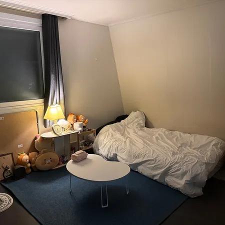 Yeonhui-dong, Yeonnam-dong, Hongdae, Sinchon / 8 pyeong, ánh sáng tự nhiên tốt không bị che khuất, full option, có thể đi bộ đến Đại học Yonsei 500/60
