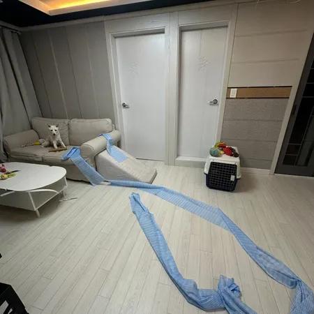 [투룸 전세] 홍은동 신축 투룸 전세대출 가능 1.7억