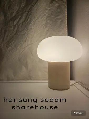 Seoul SHAREHOUSE $337 5