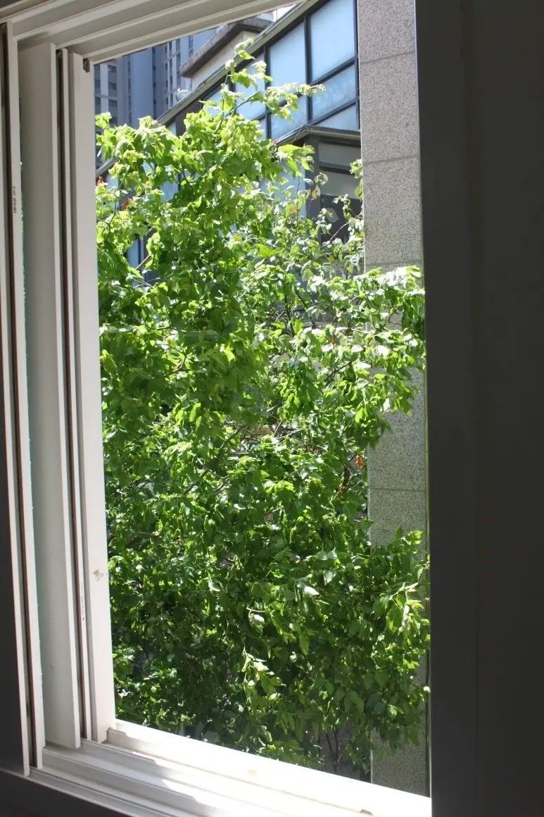 Room image 1