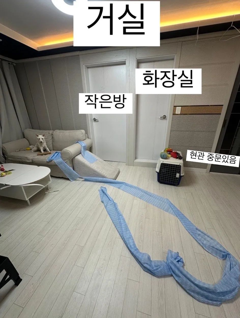 Room image 5